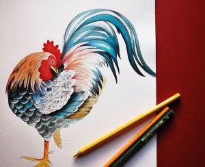 gallo by Virginia Jimenez
